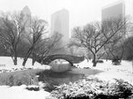 Central-park-in-winter